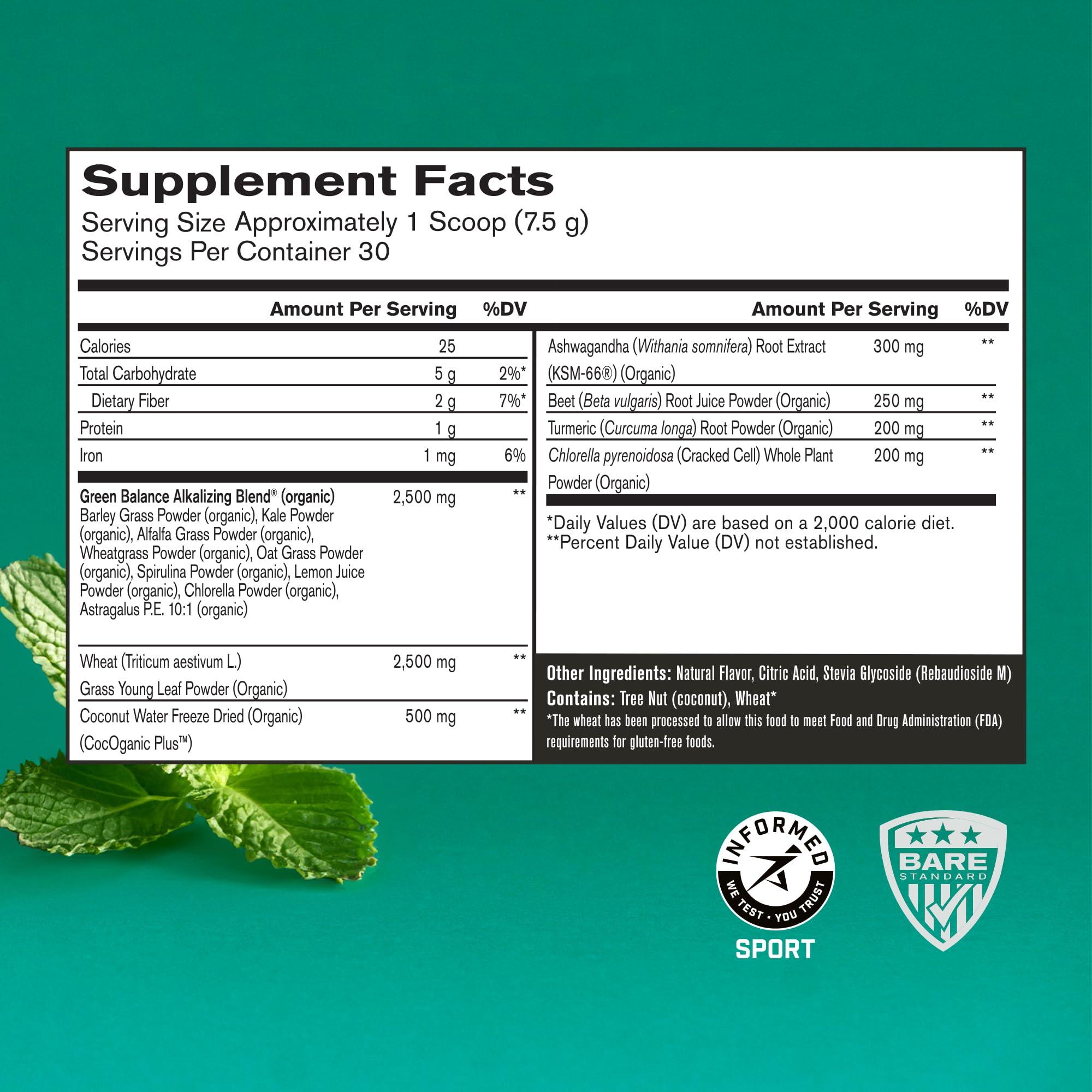 BARE PERFORMANCE NUTRITION BARE PERFORMANCE NUTRITION, BPN Strong Greens Superfood Powder, Improved Digestion, Increased Energy, Immune System Support, Sweet Mint, 30 Servings