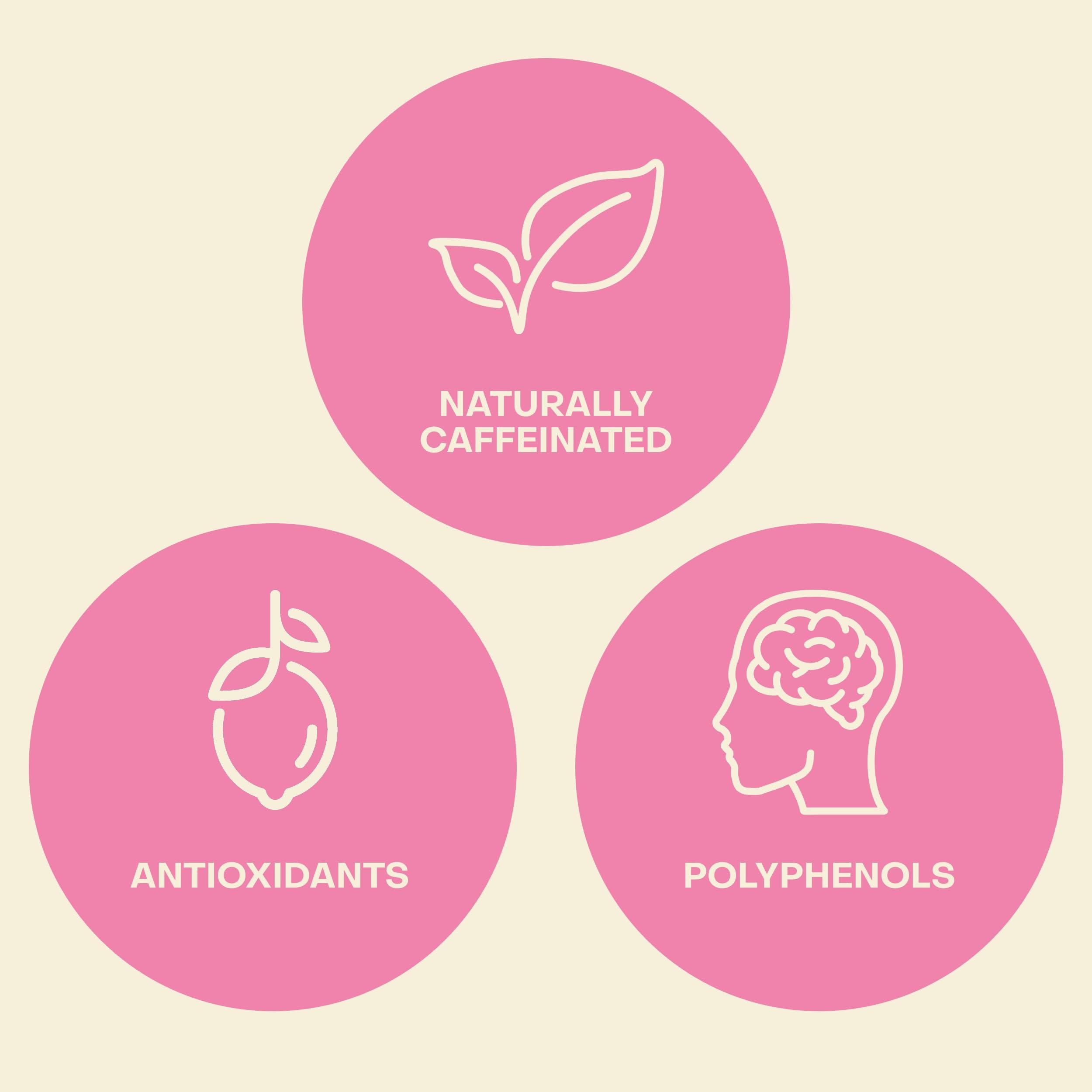 Saint James Iced Tea Saint James Iced Tea - Organic Green Tea - Non GMO, Gluten Free, Low Calorie & Low Sugar - Passion Fruit & Peach, 12 Pack (16.9 fl oz each)