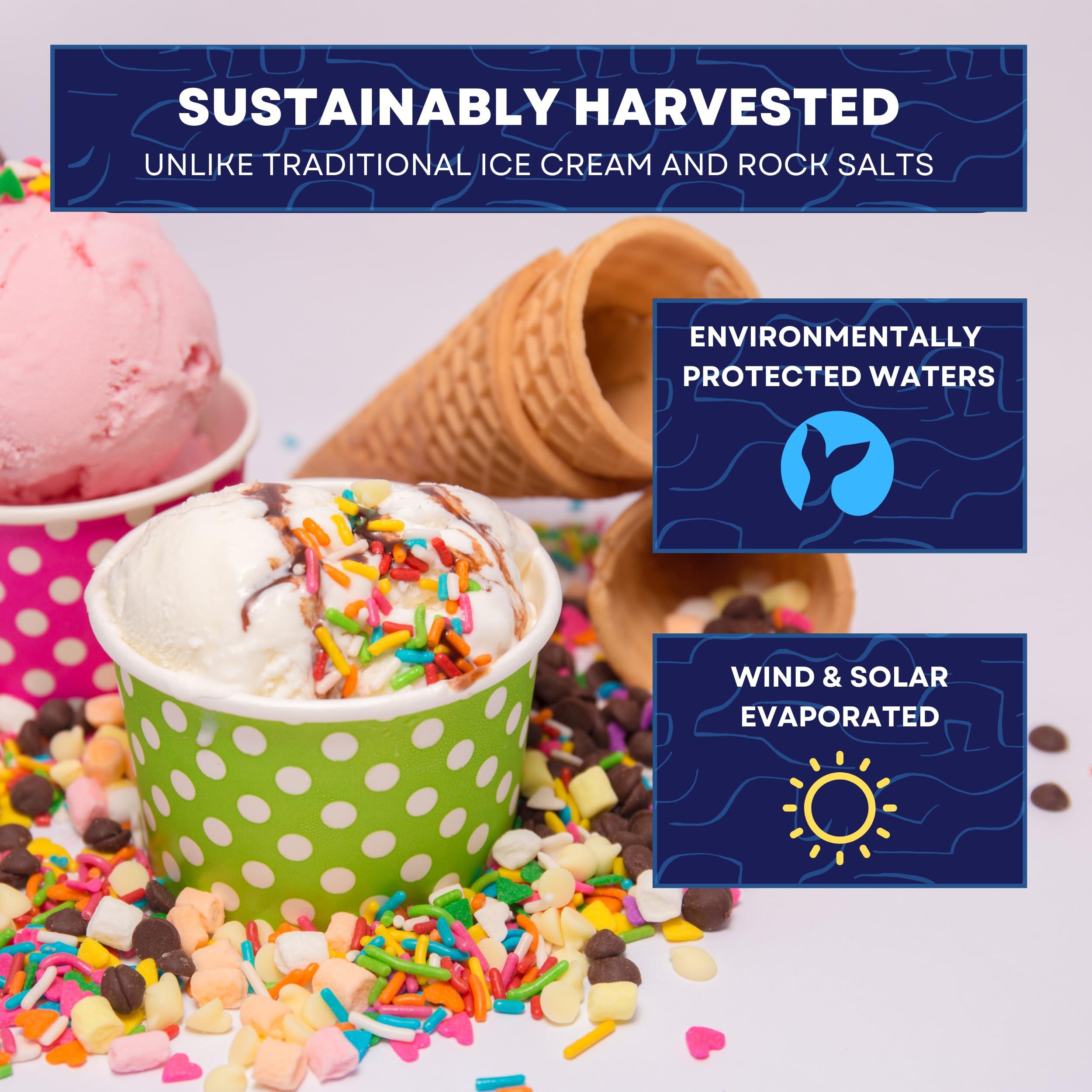 Sea Salt Superstore Ice Cream Salt, Rock Salt for Ice Cream Making, Universally Compatible Coarse Sea Salt and Non-Iodized Salt for All Ice Cream Maker, 10 lb (5 lb 2-Pack) Bags, Sea Salt Superstore