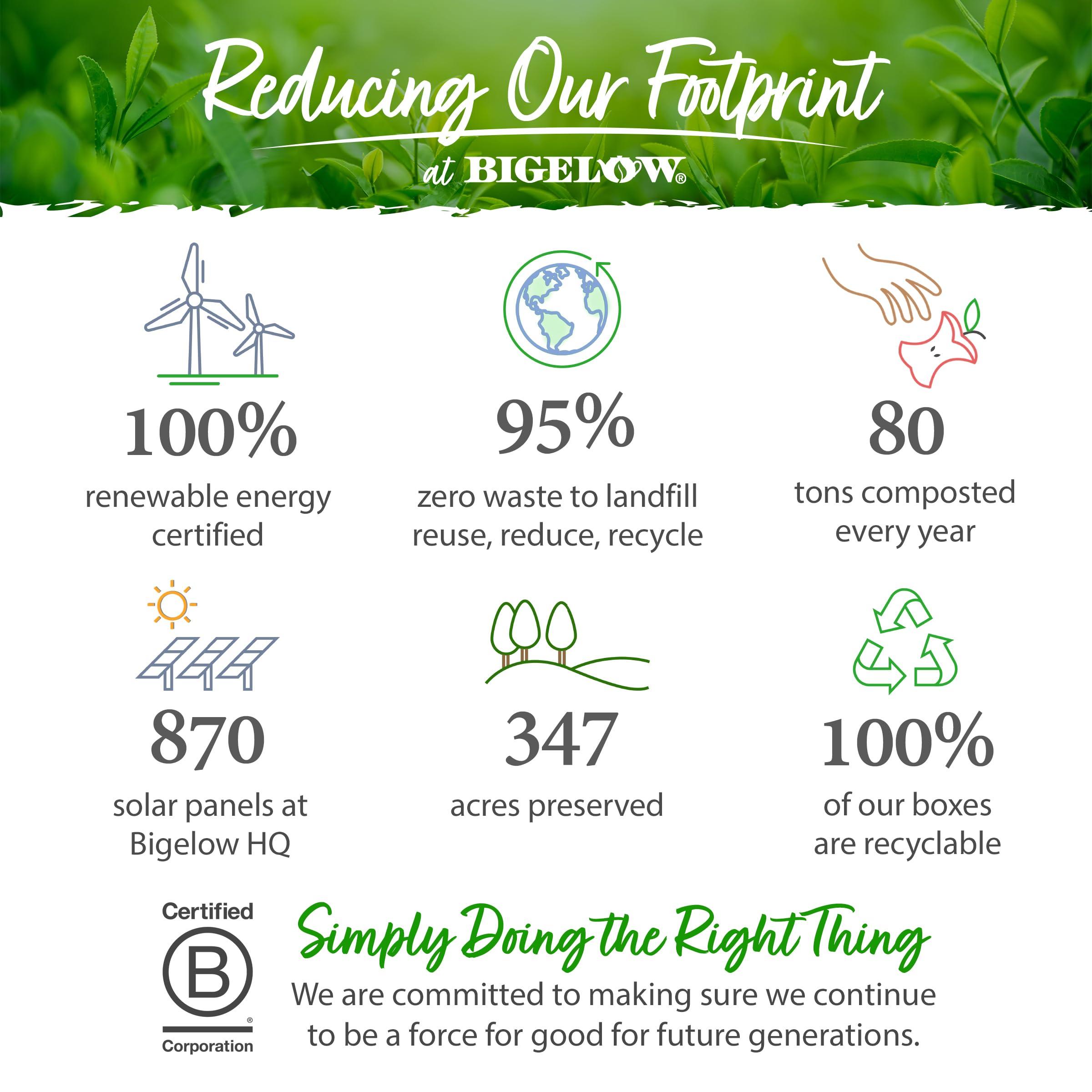 Bigelow Tea Bigelow Decaffeinated Green Tea Bags, 40 Count Box (Pack of 6) Decaf Green Tea, 240 Tea Bags Total