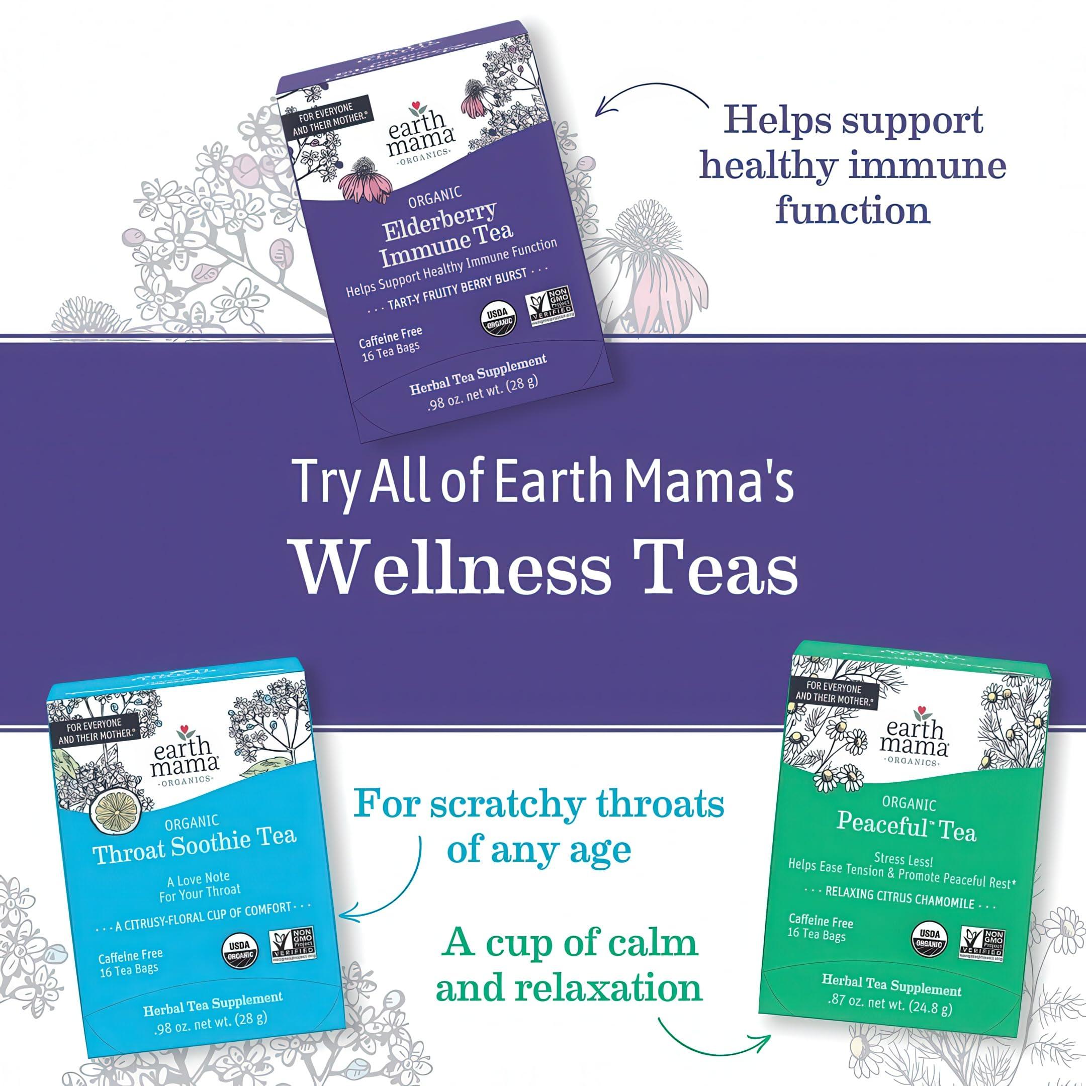 Earth Mama Earth Mama Organic Raspberry Leaf Tea Bags | Labor Tonic & Menstrual Support Herbal Tea, Red Raspberry Leaf Tea for Pregnancy & Postpartum Care Recovery, Caffeine Free Tea, Non GMO, (16 Teabags)