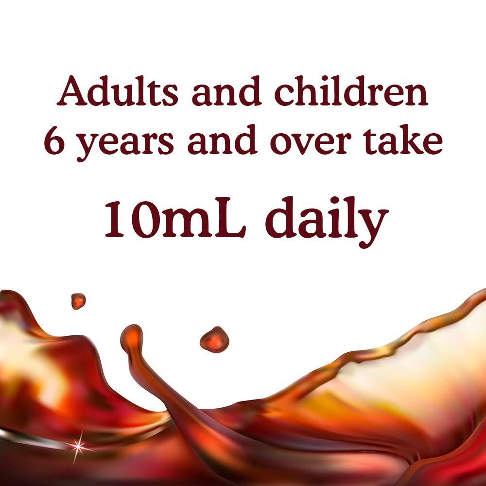 Garden of Life mykind Organics Organic Plant-Sourced Iron + Herbs (Cranberry-Lime Liquid) 8oz Liquid