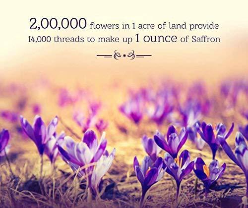 Red Gold Saffron Saffron,Grade A and A+,Highest Grade (20 Grams)