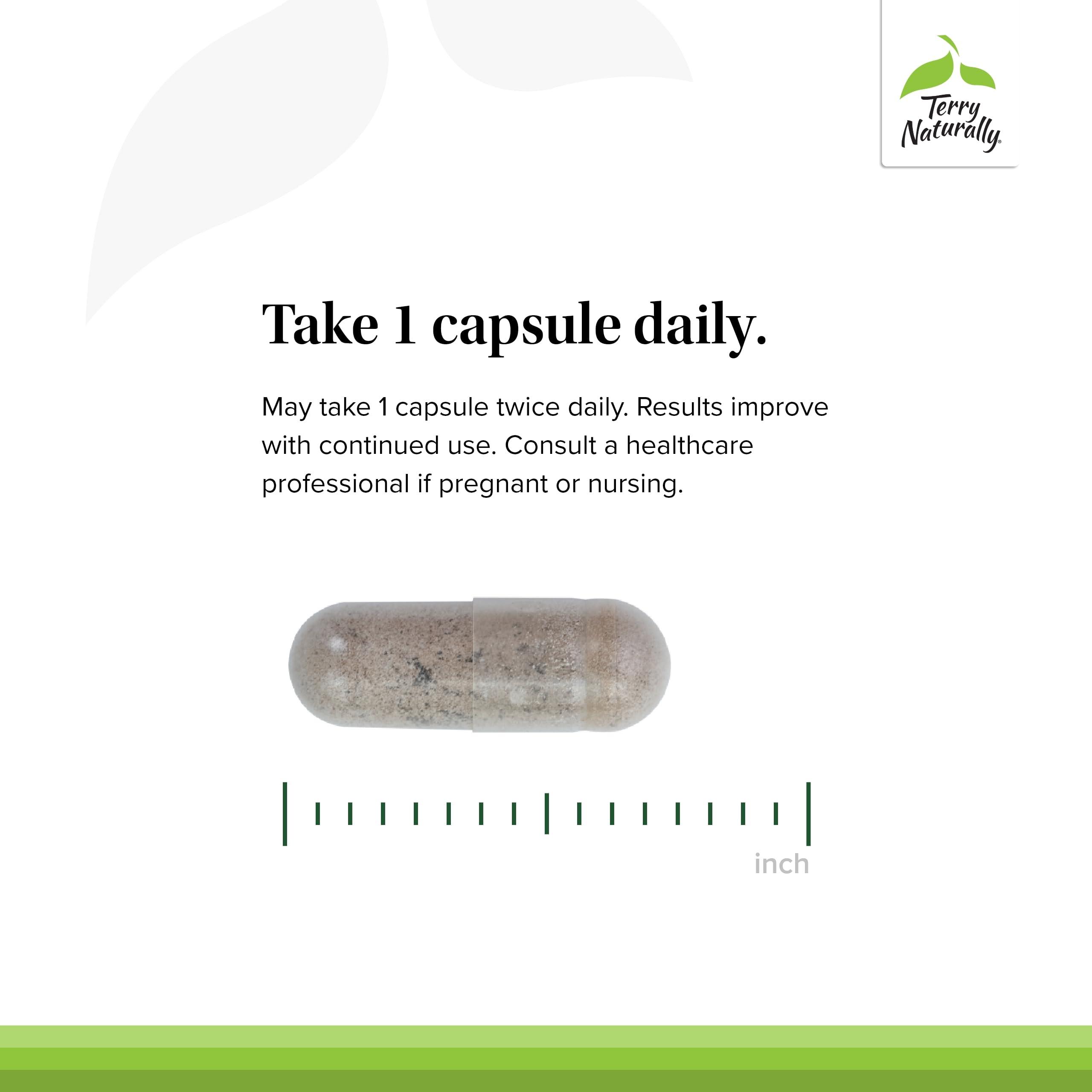 Terry Naturally Terry Naturally HRG80 Red Ginseng Energy - 30 Capsules - Red Ginseng Root Powder, Panax Ginseng, HRG80 - Non-GMO, Vegan, Gluten Free 30 Servings