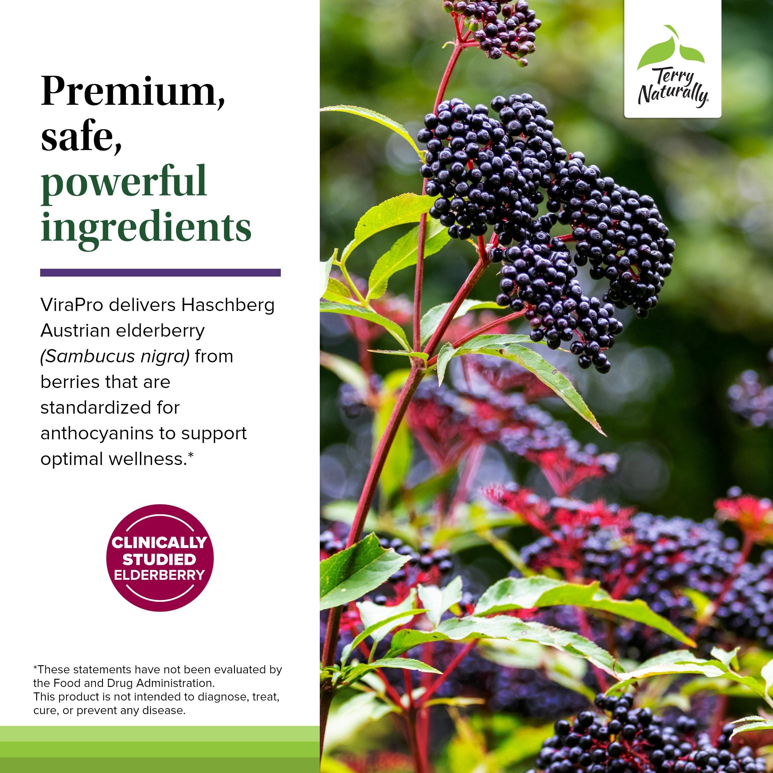 Terry Naturally Terry Naturally ViraPro - Supplement with Herbal Blend for Immune Support - Supplement with Elderberry, Zinc & Selenium - Support Immune Response - 60 Tablets (2 Pack)