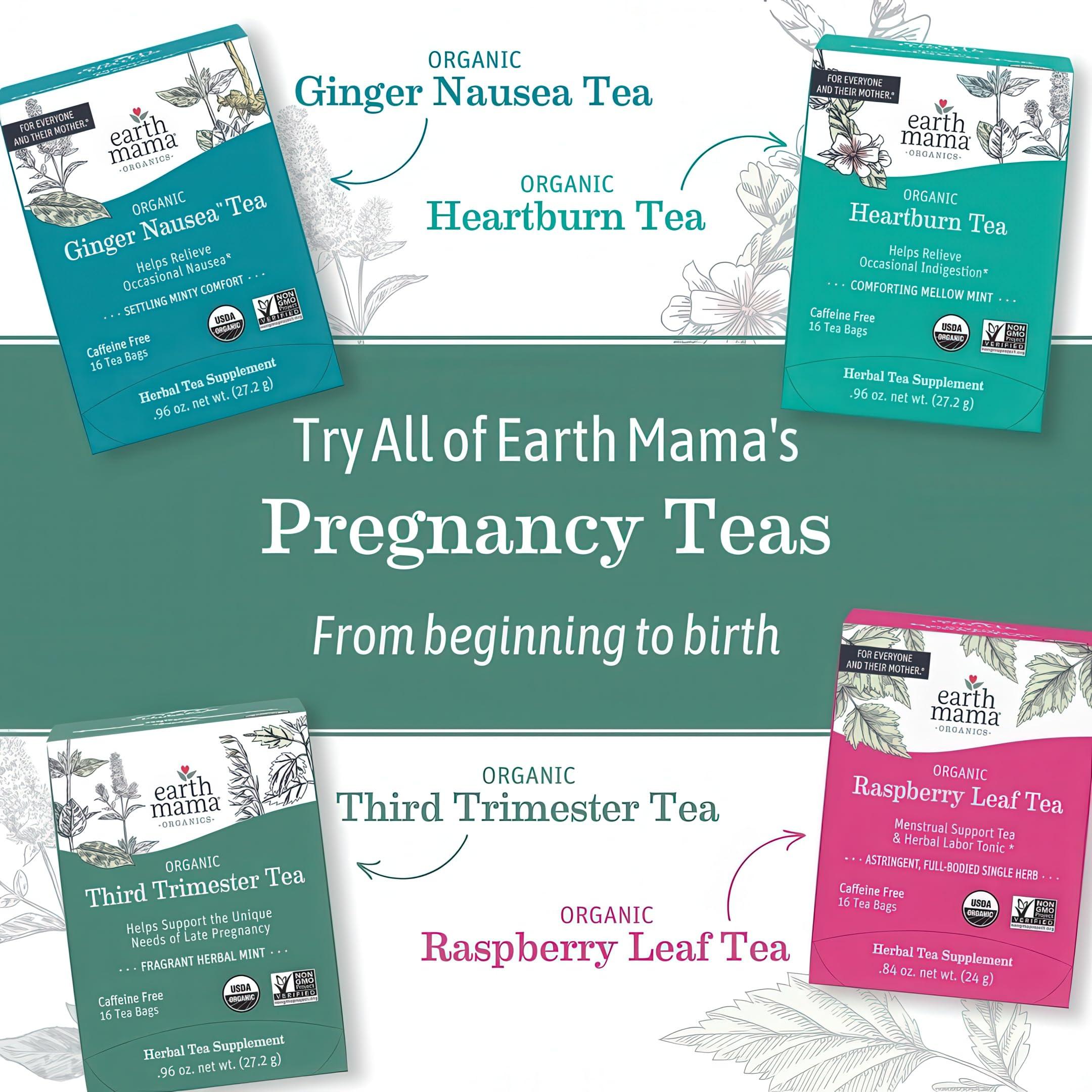 Earth Mama Earth Mama Organic Raspberry Leaf Tea Bags | Labor Tonic & Menstrual Support Herbal Tea, Red Raspberry Leaf Tea for Pregnancy & Postpartum Care Recovery, Caffeine Free Tea, Non GMO, (16 Teabags)