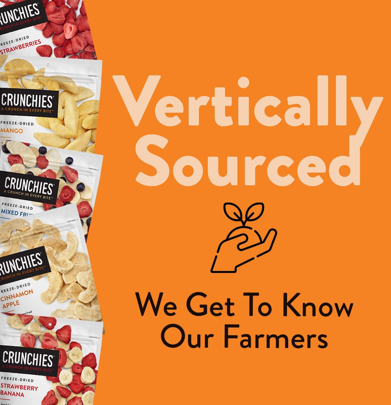 Crunchies Crunchies Freeze-Dried Fruits, 100% All Natural Crispy Fruit, Non GMO and Kosher, Resealable Freeze Dried Fruit Snack Packs, Pack of 6 (Strawberries)