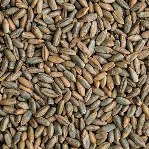 CZ Grain Rye Berries | 22 Pounds | High in Fiber and Iron - 22 Pound Bag of Rye Berries - Made in USA