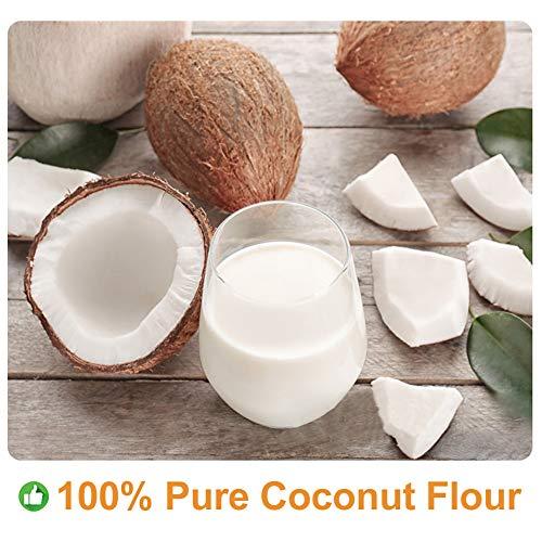 Plant Gift Plant Gift 100% Pure Coconut Powder Natural Powder, Great Flavor for Drinks, Smoothie, Yogurt, Baking, cookies, cakes and Beverages, Non-GMO Powder, No Filler, No additives 100G/3.25oz