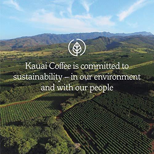 Big's Sunflower Seeds Bigs Sunflower Seeds (Pack of 2) (Bacon Salt Sizzlin Bacon)