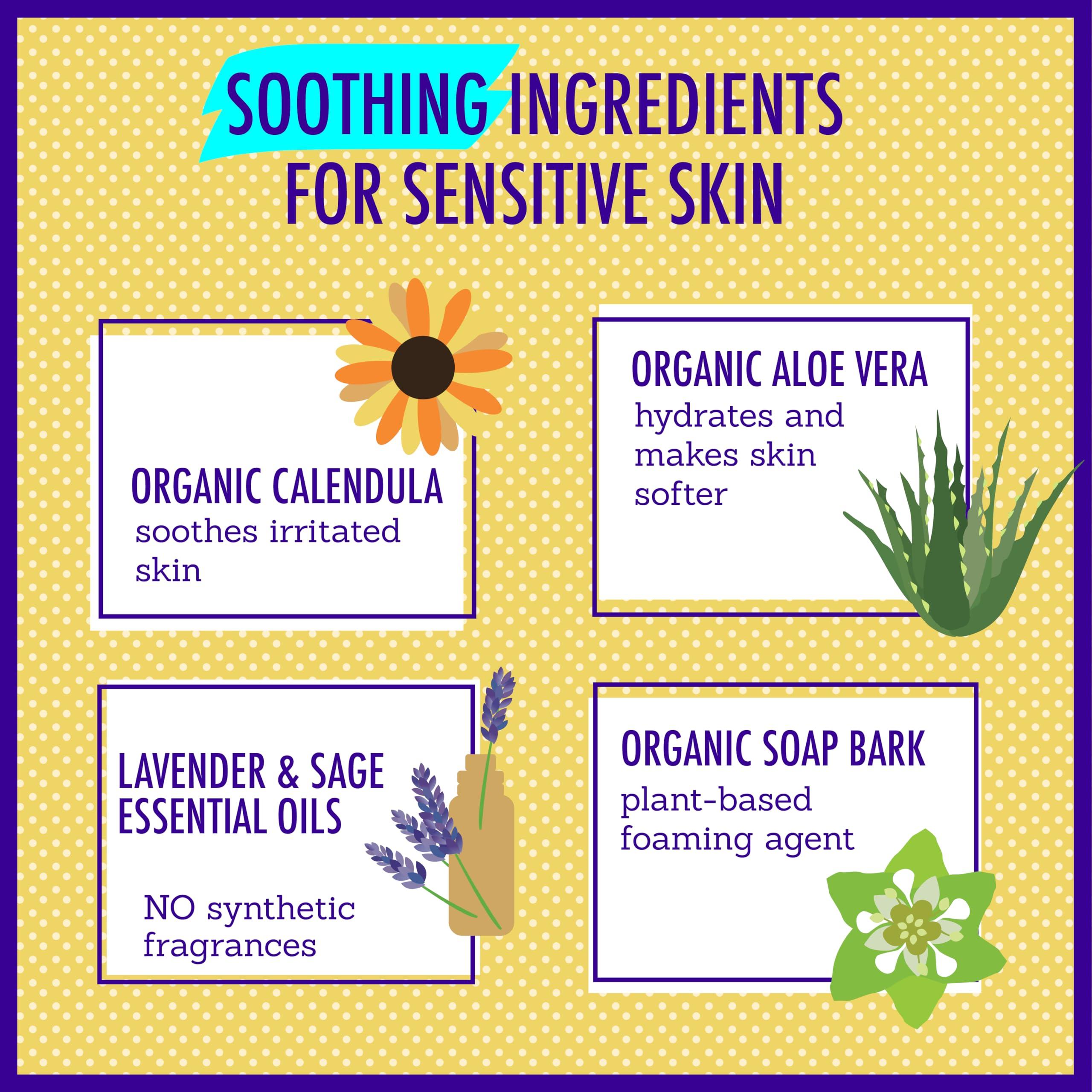 California Kids California Kids Chillax Lavender Shampoo and Body Wash | 100% Plant-Based | Gentle Skincare for Kids | Lavender Shampoo for Kids | Hypoallergenic Bodywash | 251 mL / 8.5 fl. oz.