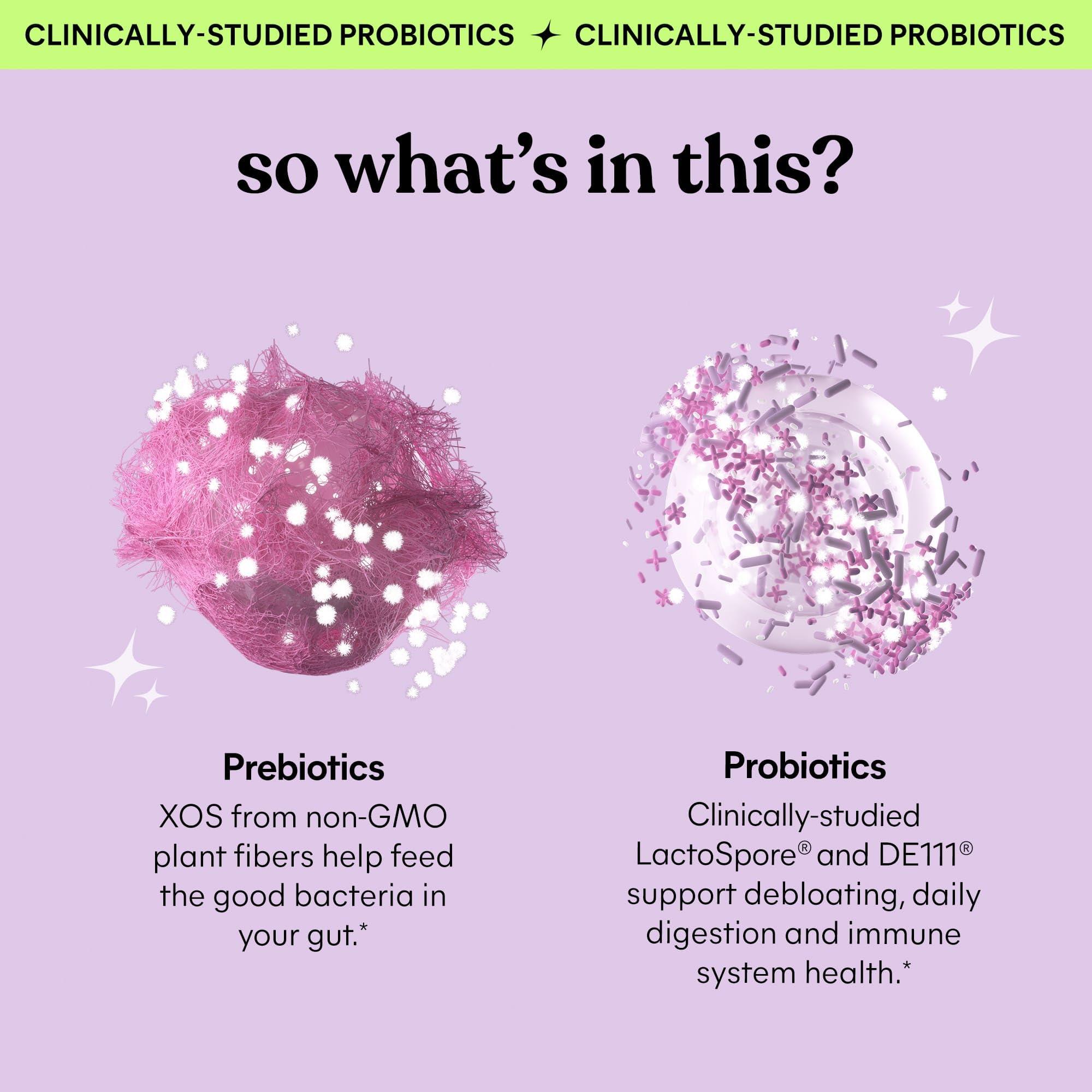 Lemme Lemme Debloat - Digestive & Gut Health Gummies with 2 Clinically Studied Probiotics & Prebiotic, 3 Billion CFUs - Vegan, Gluten Free, Non GMO, BlackBerry Flavor (60 Count) (Pack of 2)