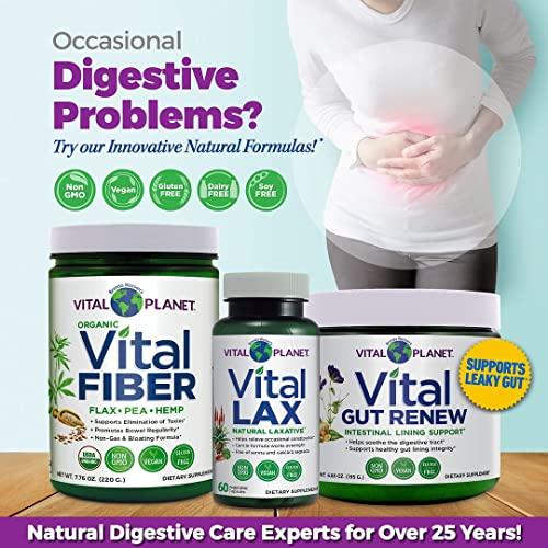 Vital Planet Vital Planet - Vital Gut Renew Powder Supplement for Leaky Gut Repair with L-Glutamine, Marshmallow and Ginger Root, DGL Licorice Root and Organic Aloe Vera, L Glutamine 6000mg 6.88 oz