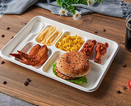 Vplus Vplus 100% Compostable 6 Compartment Plates, 90 Pack Compartment Paper Plate, 12.5 * 8.6 inch Disposable School Lunch Trays, Eco-Friendly Bagasse Plates for School Lunch, Buffet, and Party