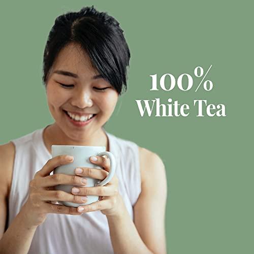 The Republic of Tea The Republic of Tea Emperor's 100% White Tea, 250 Tea Bags, Gourmet, Zero Calorie, Sugar Free, Carb Free