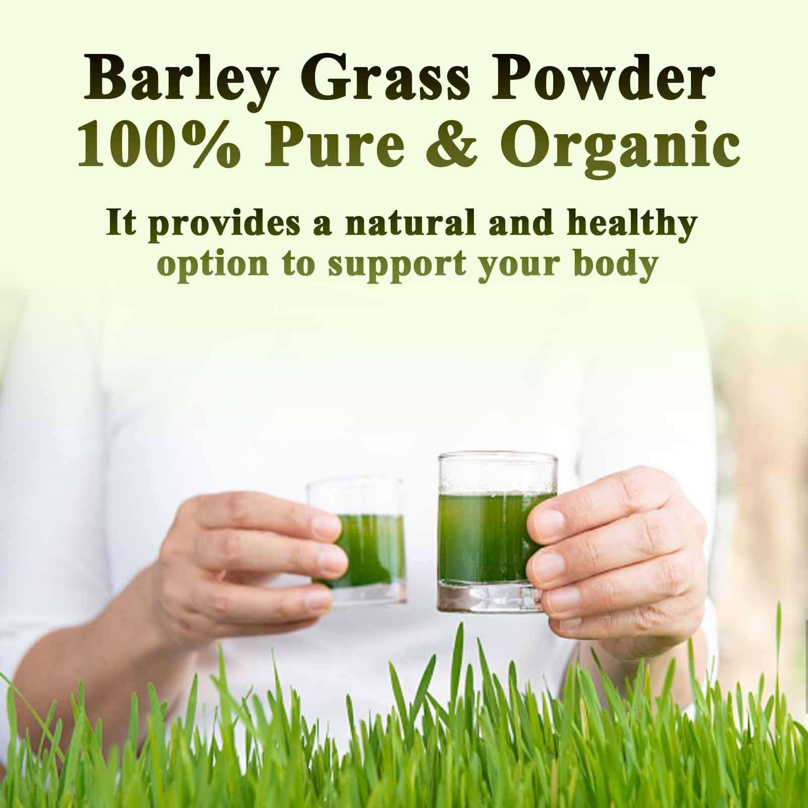 MONKPEAR MONKPEAR Naveta Barley Grass Powder 100% Pure & Organic, 1Box/20Bags Organic Barley Grass Powder, Naveta Pure Organic Barley, Easy to Use Easy to Carry (3Box)