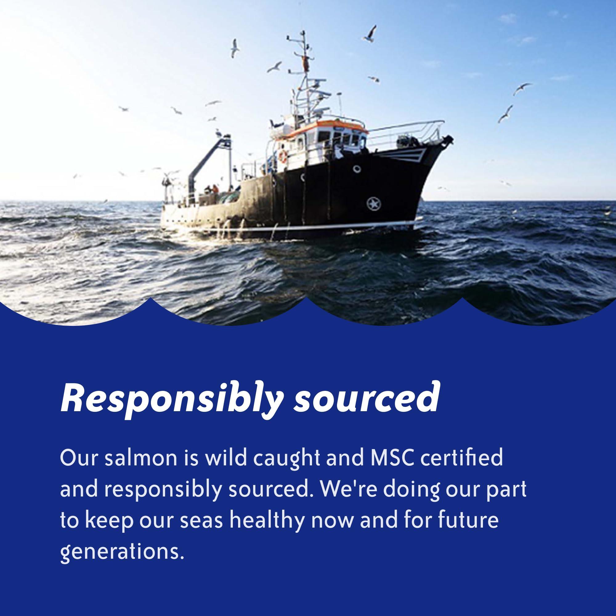 Chicken of the Sea Chicken of the Sea Alaskan Pink Salmon, 14.75 Ounce Can (Pack of 1), Wild Caught Canned Salmon, Traditional Style