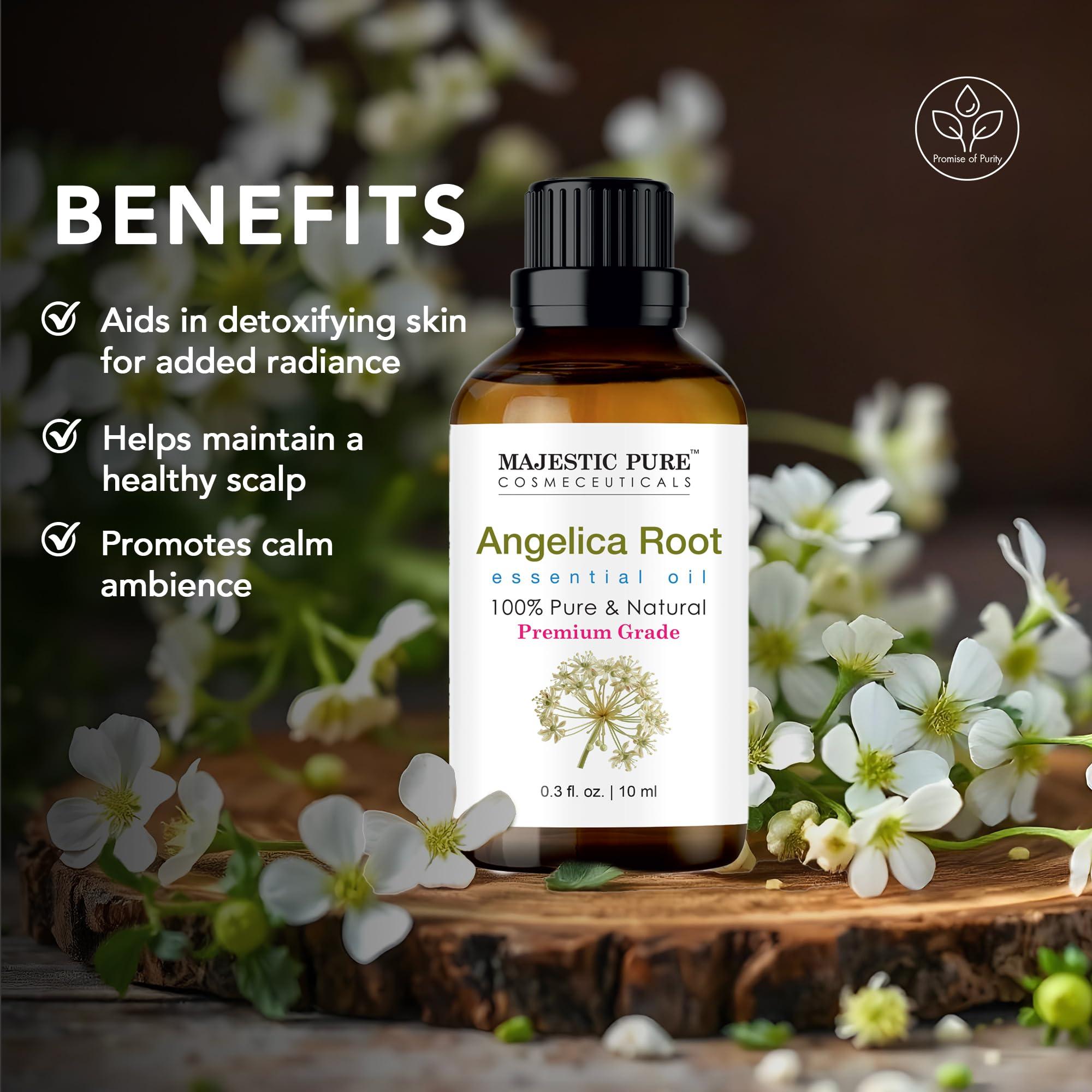 MAJESTIC PURE MAJESTIC PURE Angelica Root Essential Oil | 100% Pure and Natural Oil | Premium Grade Essential Oils for Hair Care, Home Diffusers, Skin, Aromatherapy, Massage and Humidifiers | 0.3 Fl Oz