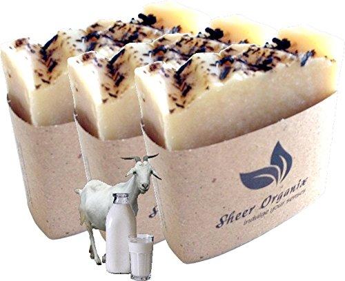 Scotch-Brite Scotch-Brite Zero Scratch Scrub Sponges, 12 Kitchen Sponges for Washing Dishes and Cleaning the Kitchen and Bath, Non-Scratch Sponge Safe for Non-Stick Cookware