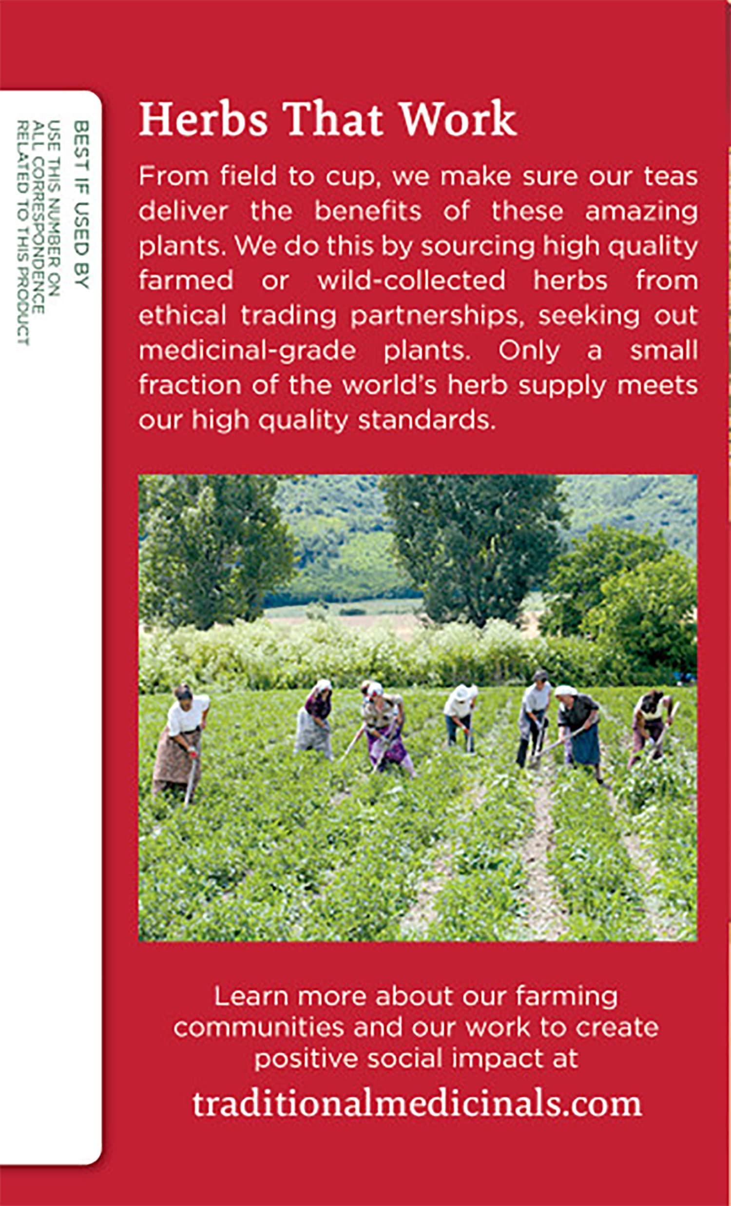 Traditional Medicinals Traditional Medicinals Tea, Organic Herbal Cold Care, Providing Soothing Comfort, 16 Tea Bags