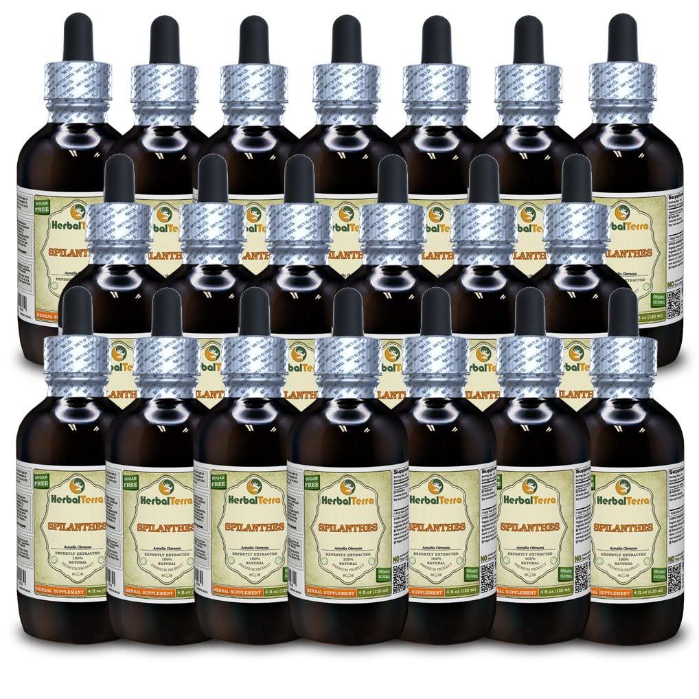 Herbal Terra LLC Spilanthes (Acmella oleracea) Tincture, Organic Dried Leaves, Flowers and Stems Liquid Extract (Brand Name: HerbalTerra, Proudly Made in USA) 20x4 fl.oz (20x120 ml)