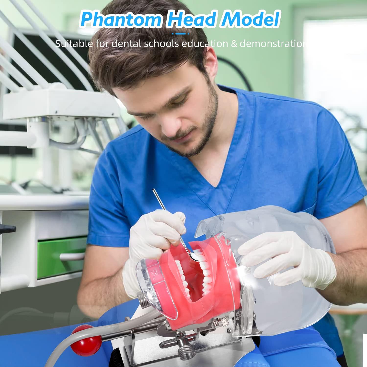 faruijie faruijie Dental Simulator Mannequin Head - with Typodont Teeth Model Dexter Phantom Head Training Manikin with Bench Mount Fixed on Chair for Dental Schools Education Practical Demonstration