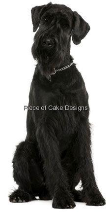 Art of Eric Gunty 1/4 Sheet ~ Giant Schnauzer ~ Dog Breed ~ Edible Cake/Cupcake Topper - D6669