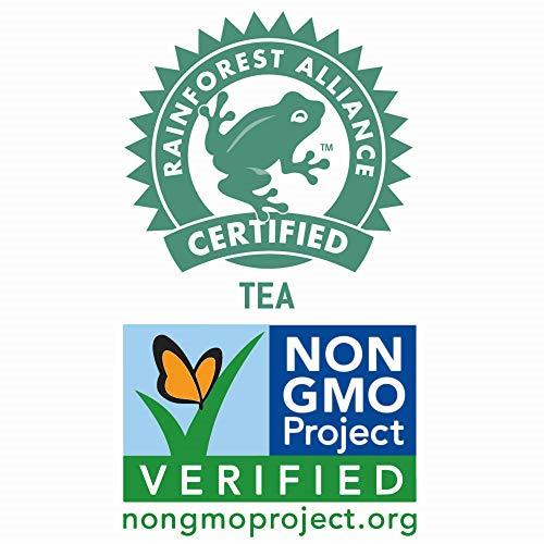 Tejava Tejava Unsweetened Peach Iced Tea, 16.9 Ounce PET Bottles, Natural, Non-GMO-Verified, Rainforest Alliance-Certified (12 Pack)