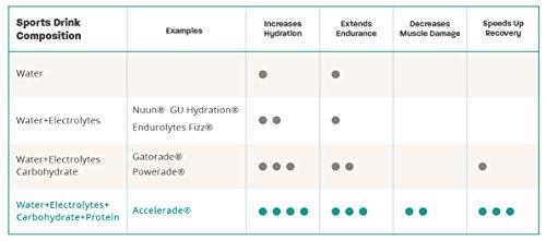 Accelerade Accelerade by PacificHealth - All Natural Sport Hydration Drink Mix with Protein + Carbs & Electrolytes - for Superior Energy Replenishment, Endurance & Rehydration - 30 Servings (Fruit Punch)