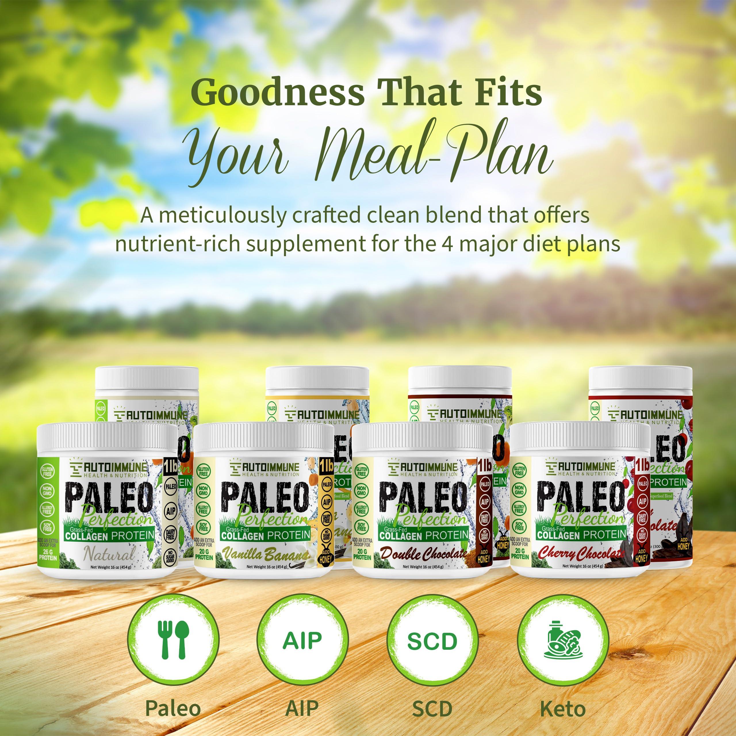 AUTOIMMUNE HEALTH & NUTRITION Paleo Perfection Vanilla Banana Grass Fed Beef Collagen Protein Powder without Stevia - Paleo, Keto, SCD, AIP Protein Powder with Apple Fiber, Carrot & Broccoli - 300g Protein Powder & Superfood Blend