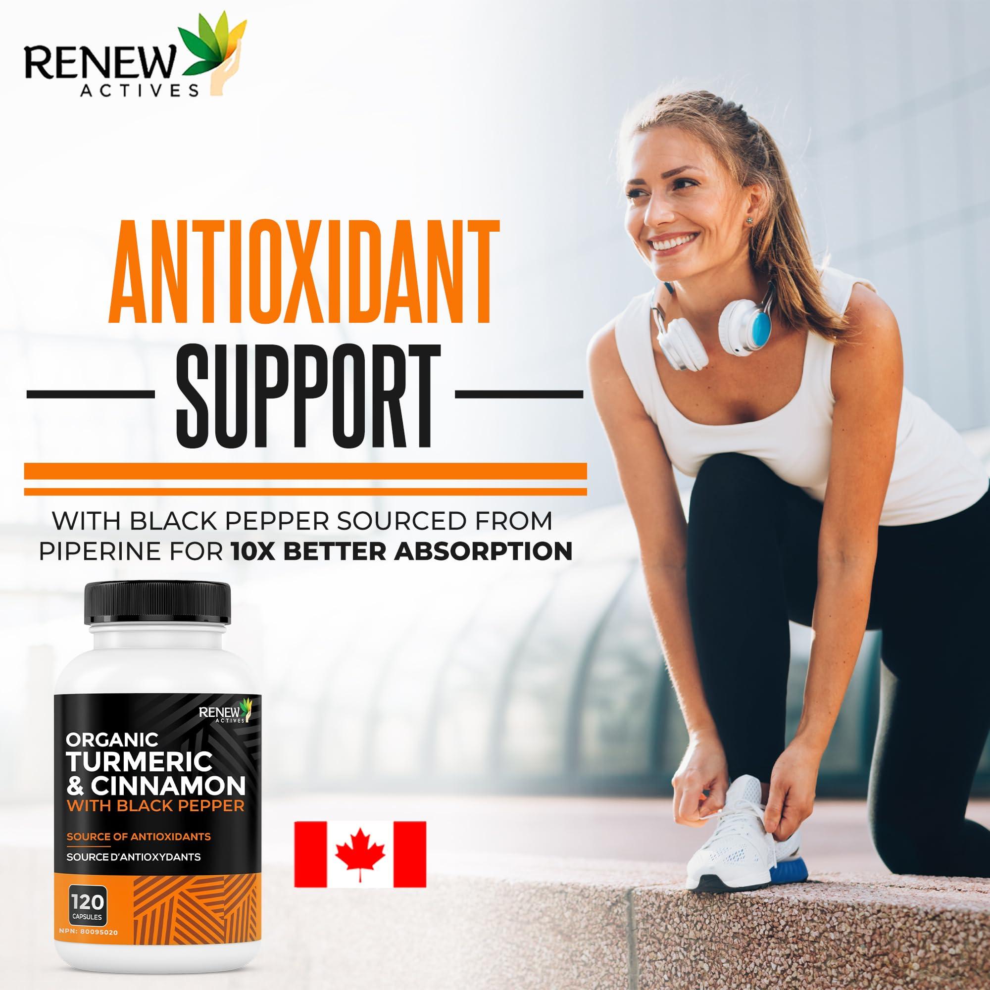 Renew Actives Renew Actives Organic Turmeric & Cinnamon Capsules - with Curcumin & BioPerine Black Pepper for Enhanced Absorption - Promotes Metabolism, Joint Health & Digestion - 120 Capsules