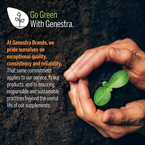 Genestra Brands Genestra Brands Omega EFA Liquid | Supports Joint and Cardiovascular Health | 5.1 fl. oz.