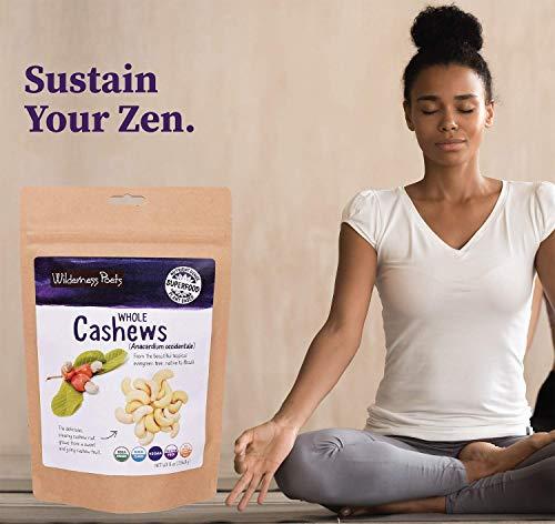 Wilderness Poets Wilderness Poets Cashews - Organic Raw Cashew Nuts, 8 Ounce (227 Grams)