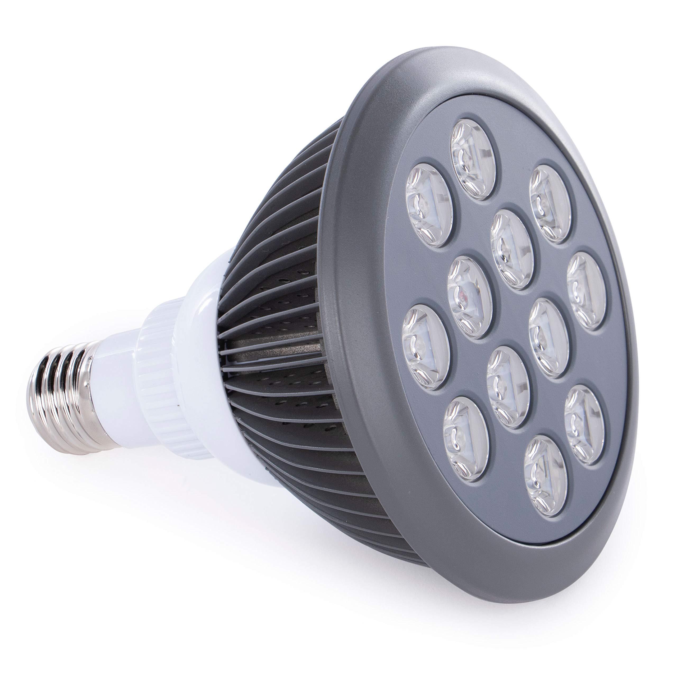 hooga hooga Yellow Light Therapy Bulb Power Cord Included. 590 nm Wavelength. 12 LEDs. High Irradiance, Treatment for Skin. Reduces Dark Spots, Blemishes, Freckles, and Smoothes Skin.