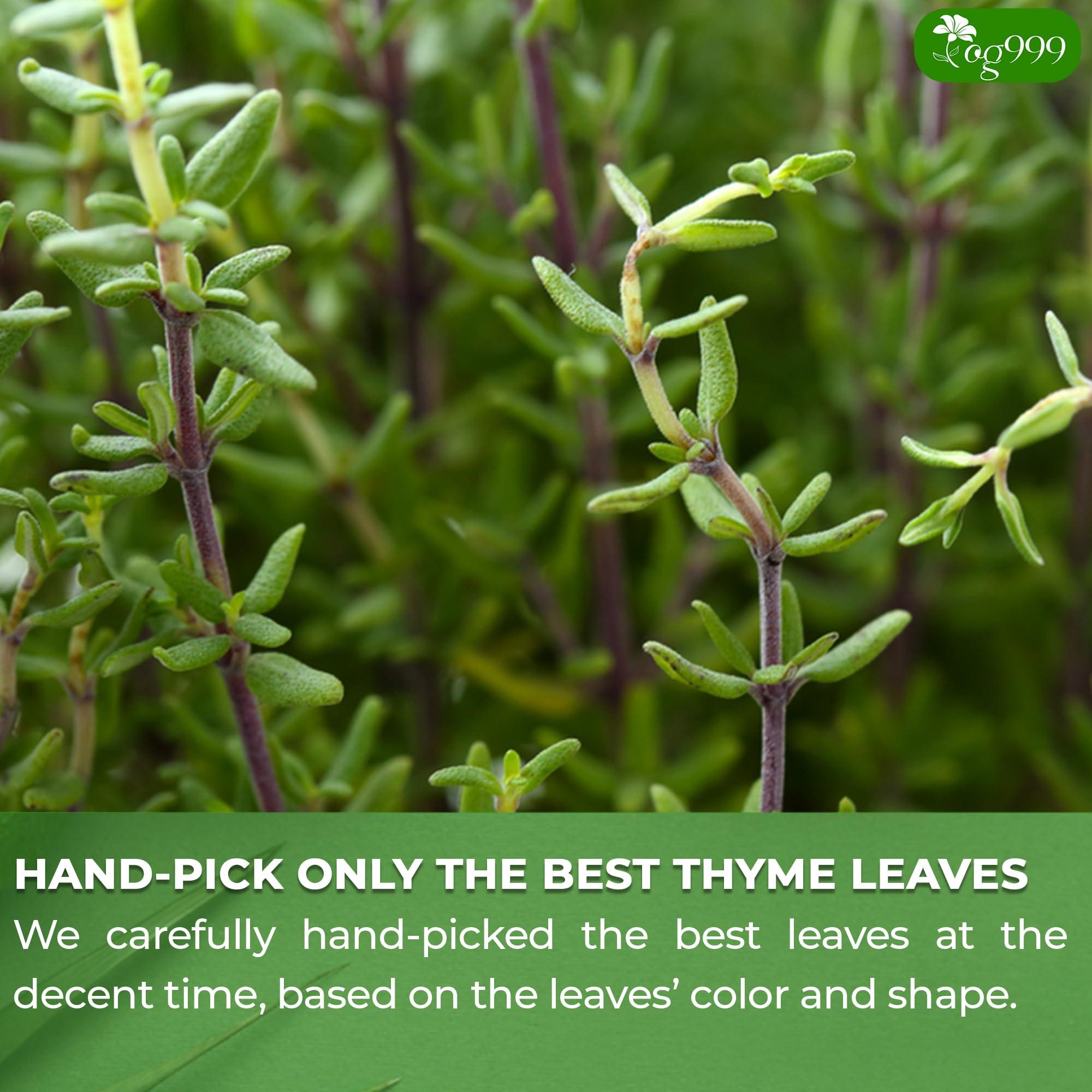 TOG999 TOG999, Premium 120 Thyme Leaf Tea Bags, 100% Natural & Pure Thyme Leaves. Loose Leaf Thyme Herbal Tea. Thyme Leaf Tea. No Sugar, No Caffeine, No Gluten, Vegan.