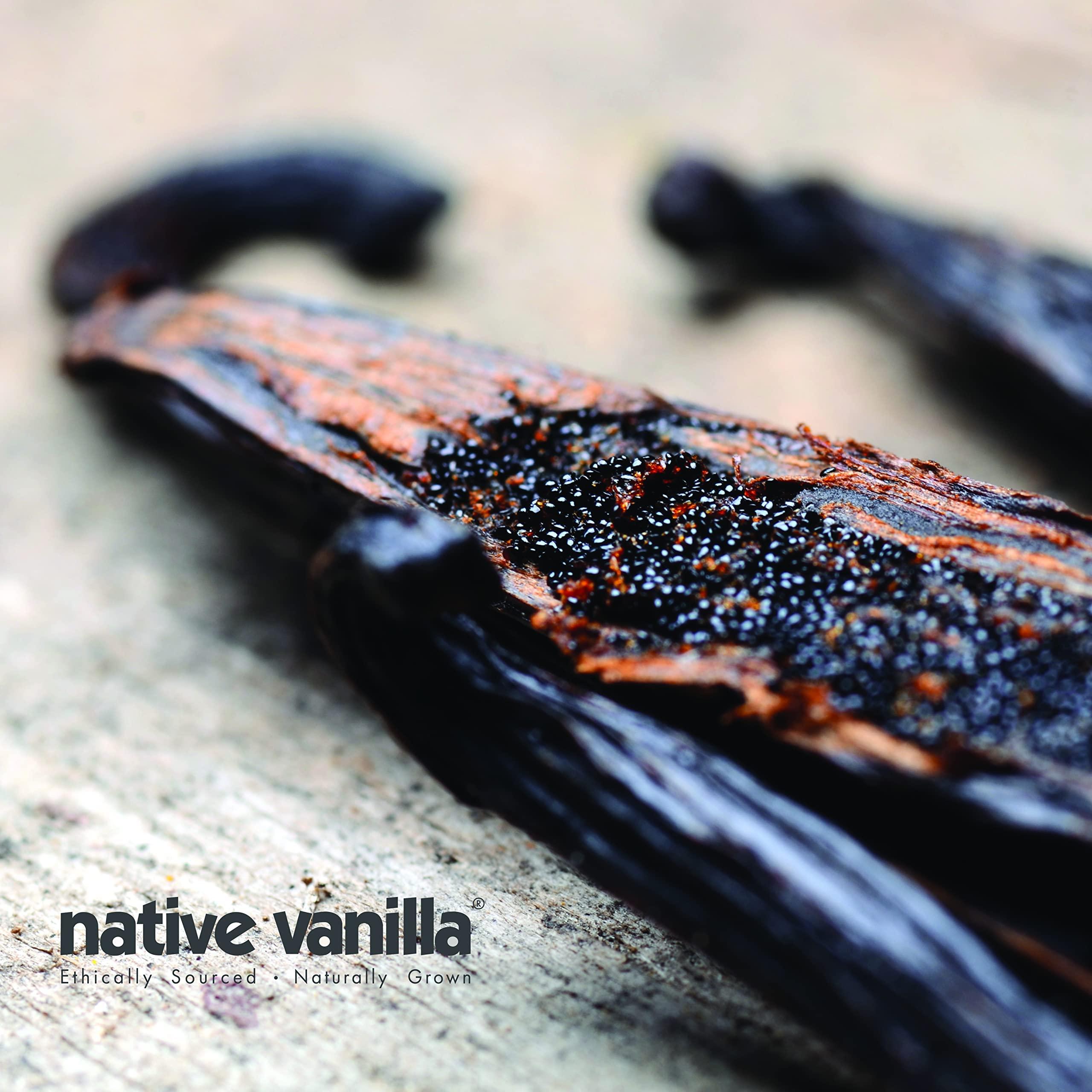 Native Vanilla 50 Organic Madagascar Vanilla Beans - Gourmet Grade A Premium Vanilla Pods - For Vanilla Extract & Baking - For Cooking, Desserts & More - 100% Vegan & Kosher - Non-GMO & Gluten-Free - Native Vanilla
