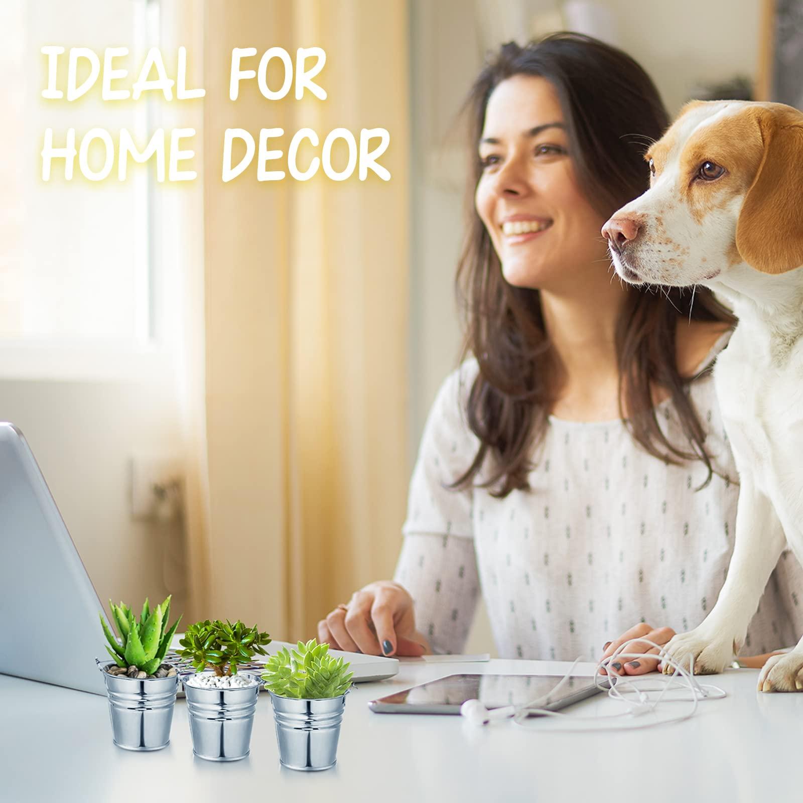 Potchen 50 Pack Mini Galvanized Buckets Small Metal Buckets Mini Tin Pails with Handles Mini Buckets Metallic Pails for Halloween Christmas Party Favors Vase Crafts Garden Planter 2.1 x 2 x 1.6 Inch