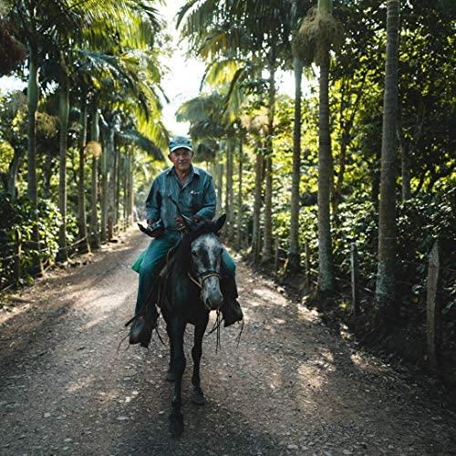 Fara Coffee Fara Coffee, Whole Bean (Roasters Choice Organic (Medium/Dark), 12 oz)