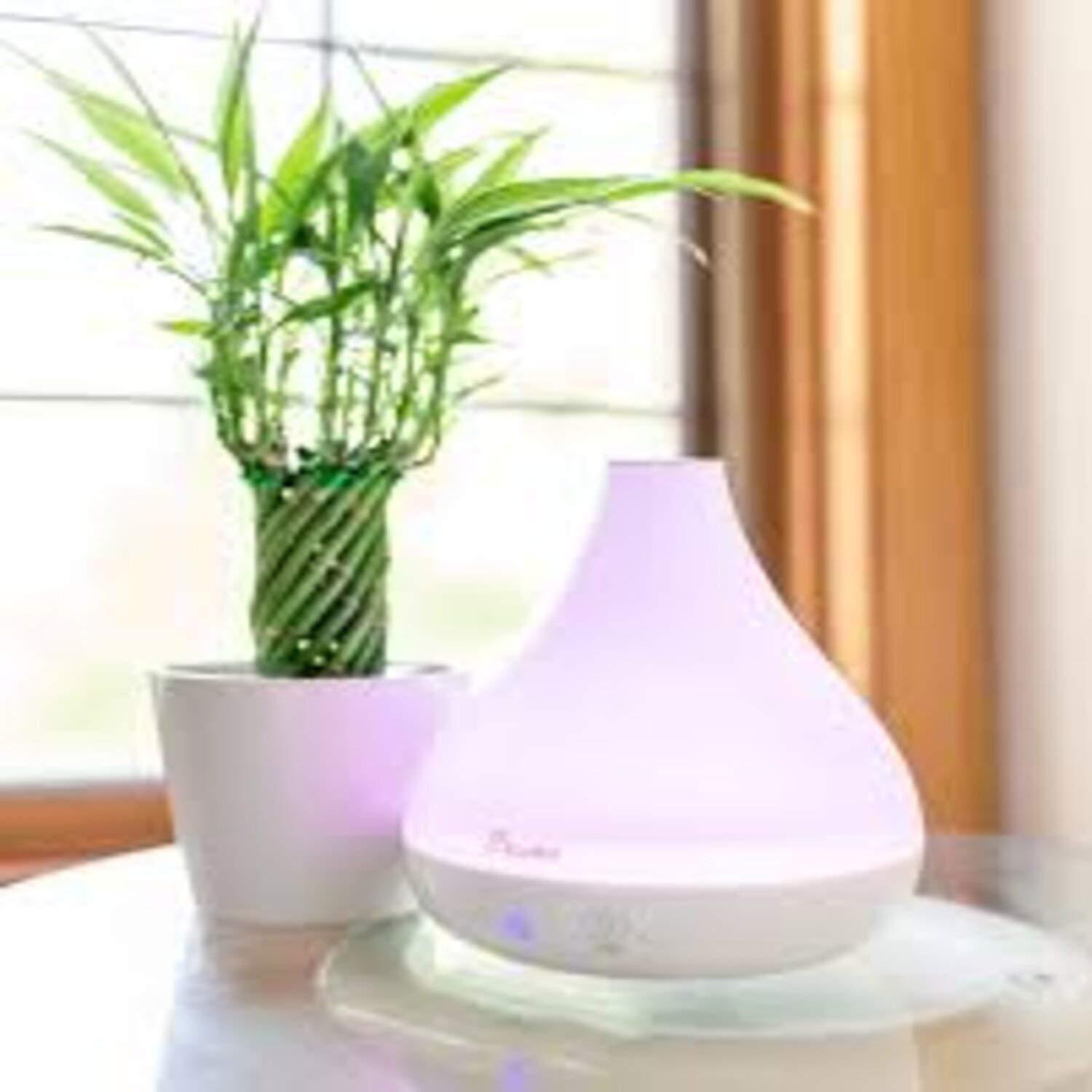 Crane Crane Personal Ultrasonic Cool Mist Humidifier and Aroma Therapy Diffuser, Optional Color Changing Nightlight Included, for Home, Hotels, and Office, 0.35 Gallon 1.5 Liter, White (Pack of 2)