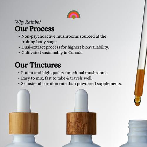 Rainbo Rainbo 11:11 Multi Mushroom Tincture, Dual Extract Mushroom Supplement for Comprehensive Immune Support, Brain Support, Liquid Lion's Mane & Turkey Tail, Vegan, Non GMO, 3.4 fl oz