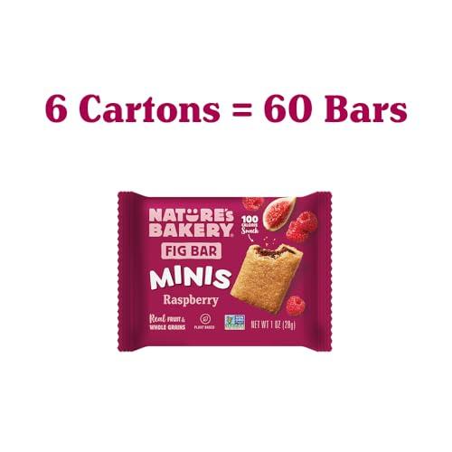 Nature\'s Bakery Nature\'s Bakery Fig Bar Minis, Raspberry, Whole Grain, Vegan Friendly, Kosher, Non-GMO, 10 Ounce (Pack of 6)