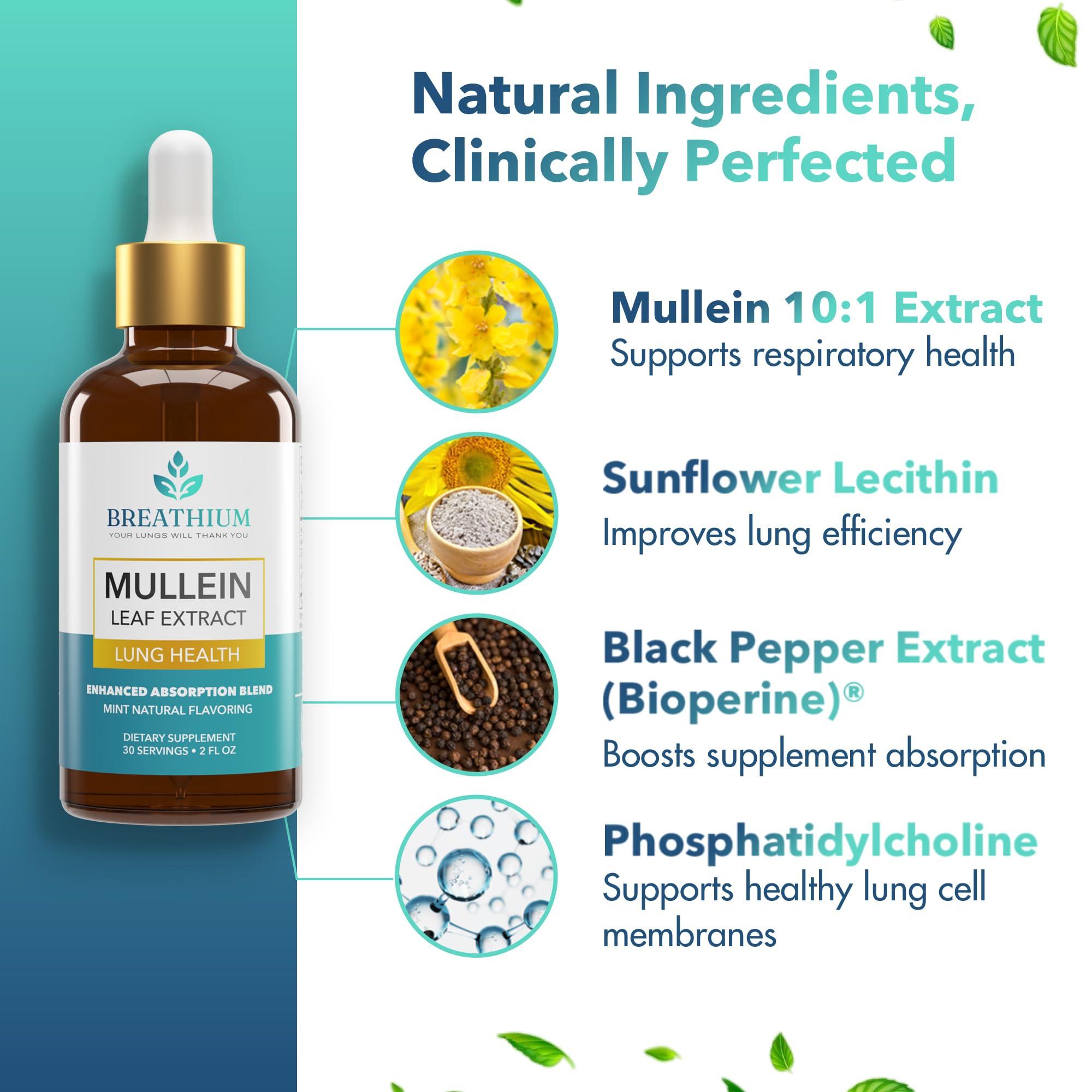 BREATHIUM BREATHIUM Organic Mullein Drops for Lungs  Rapid Mucus & Sore Throat Relief  Liposomal Mullein Leaf Extract Supplement for Healthy Breathing  Sunflower Lecithin, & Peppermint Tea  Made in USA