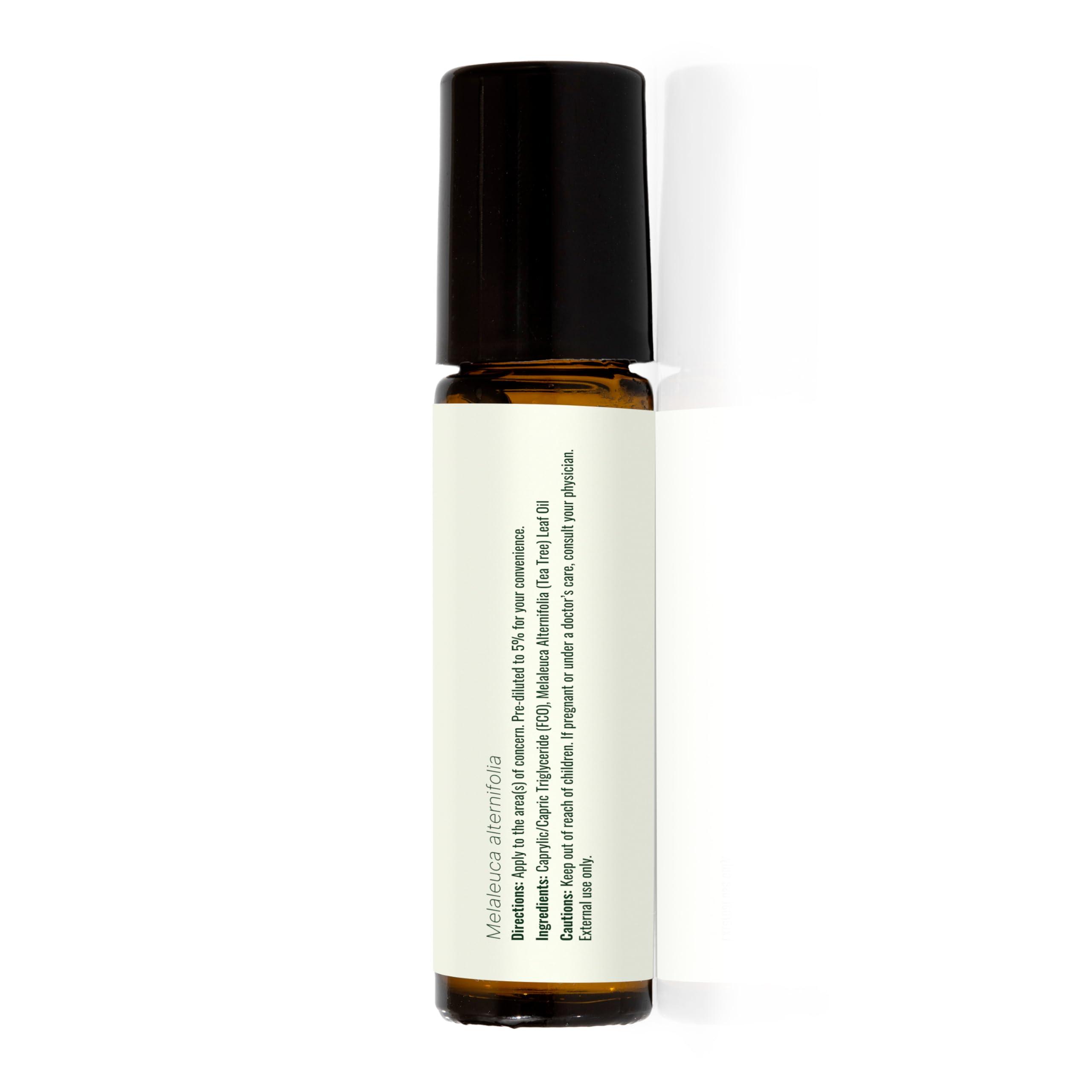 Plant Therapy Plant Therapy Tea Tree Essential Oil 100% Pure, Pre-Diluted Roll-On, Natural Aromatherapy, Therapeutic Grade 10 mL (1/3 oz)