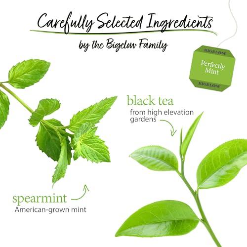 Bigelow Bigelow Tea Perfectly Mint Black Tea, Caffeinated Spearmint Tea, 20 Count Box (Pack of 6), 120 Total Tea Bags
