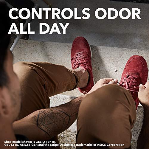 SaraLee/Kiwi SaraLee/Kiwi Fresh Force Shoe Refresher, Powder Fresh Scent, 2.2 oz, 10-Pack