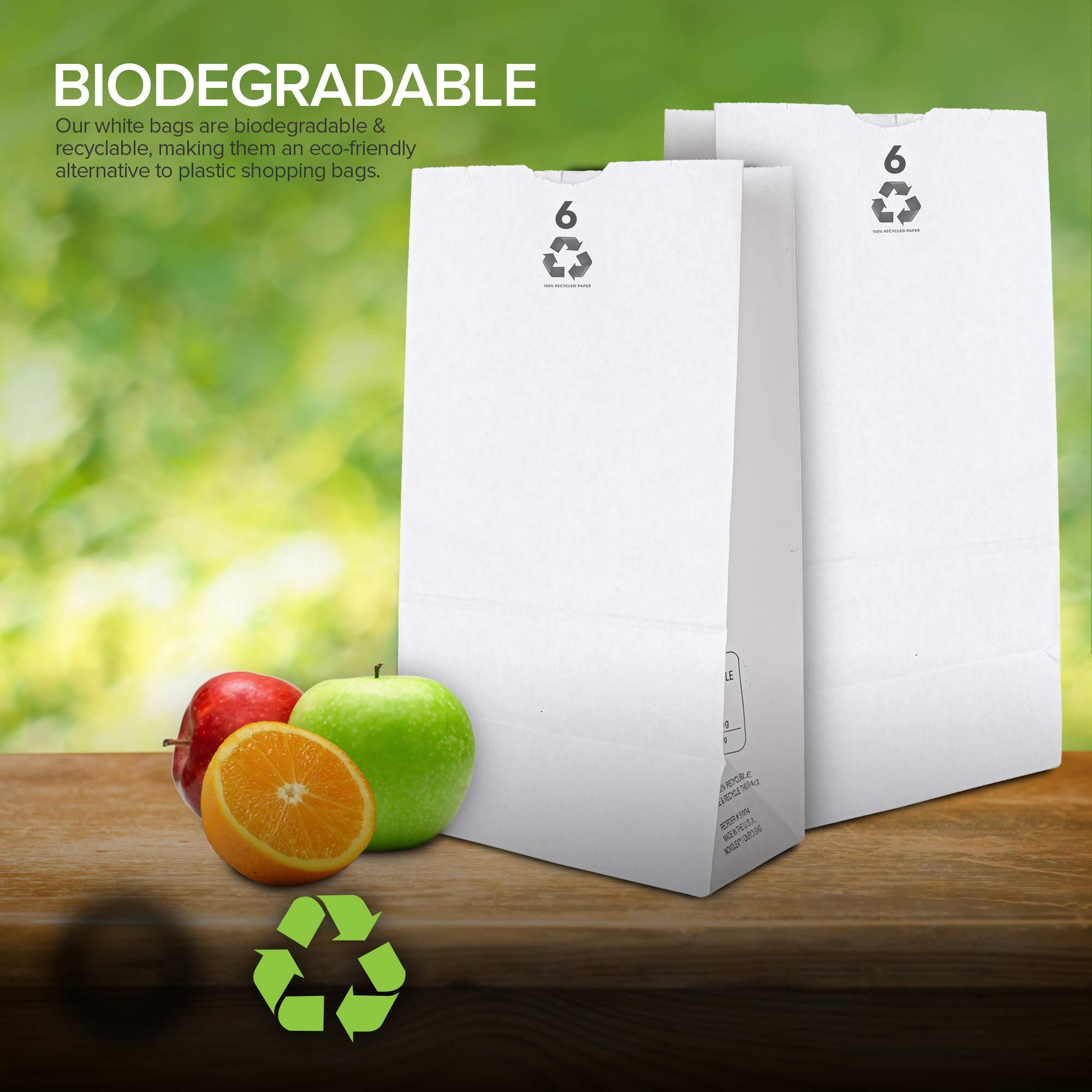 Stock Your Home Stock Your Home 6 Lb White Paper Bags (200 Count) - Eco Friendly White Lunch Bags - Small White Paper Bags for Packing Lunch & Snacks - Blank White Lunch Bags Paper for Arts & Crafts Projects