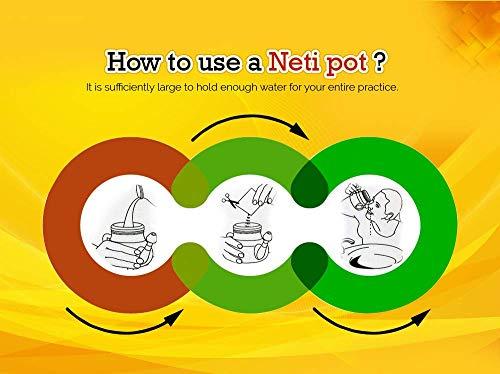 SoulGenie HealthAndYoga(TM) SteloKleen Stainless Steel Neti Pot for Sinus Congestion Plus qSwipe Lite Copper Tongue Cleaner - Exquisitely Gift Wrapped