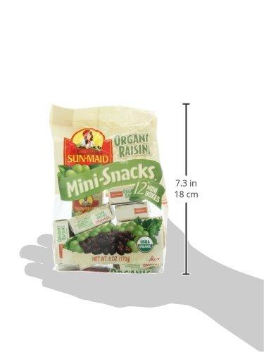 Sun-Maid Sun-Maid | Organic California Raisin Snacks | 0.5 Ounce Snack-Size For Kids (144 Total)