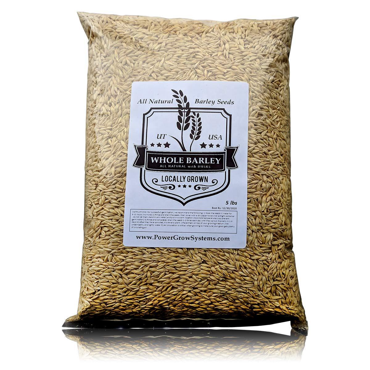 PowerGrow Systems Barley Seeds - All Natural 5 Pounds Whole Barley Seed for Juicing, Malt Brewing, Beer Making