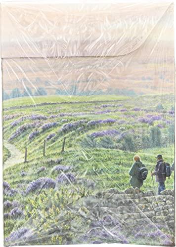 Taylors of Harrogate Taylors Of Harrogate, Tea Yorkshire Gold, 80 Count